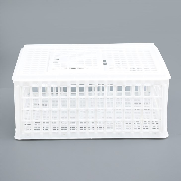 Plastic Transport Crate Cage For Poultry