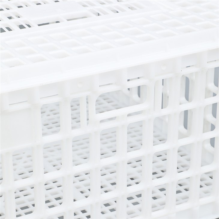 Plastic Transport Crate Cage For Poultry