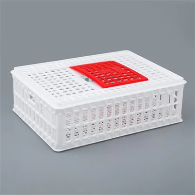 Bakul Pengangkut Ayam Plastik