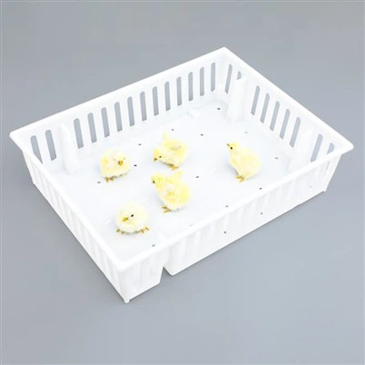 Kotak Pengangkutan Plastik Burung Muda